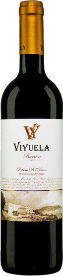 2021 Barrica Ribera del Duero DO trocken - Bodegas Viyuela