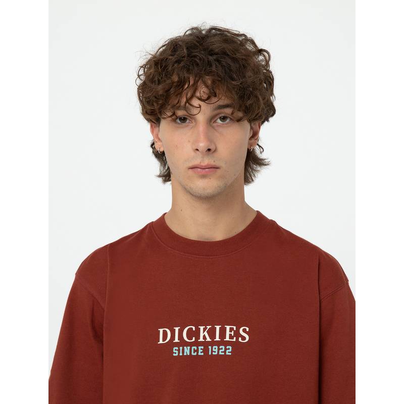 Dickies Park T-Shirt Herren