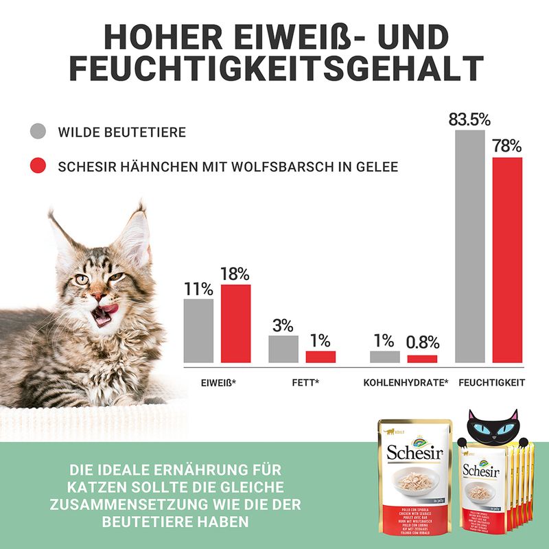Schesir Jelly Pouch 6 x 85 g zu TOP-Preisen