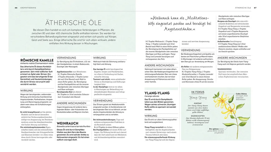 Die kleine Hausapotheke für Körper & Geist