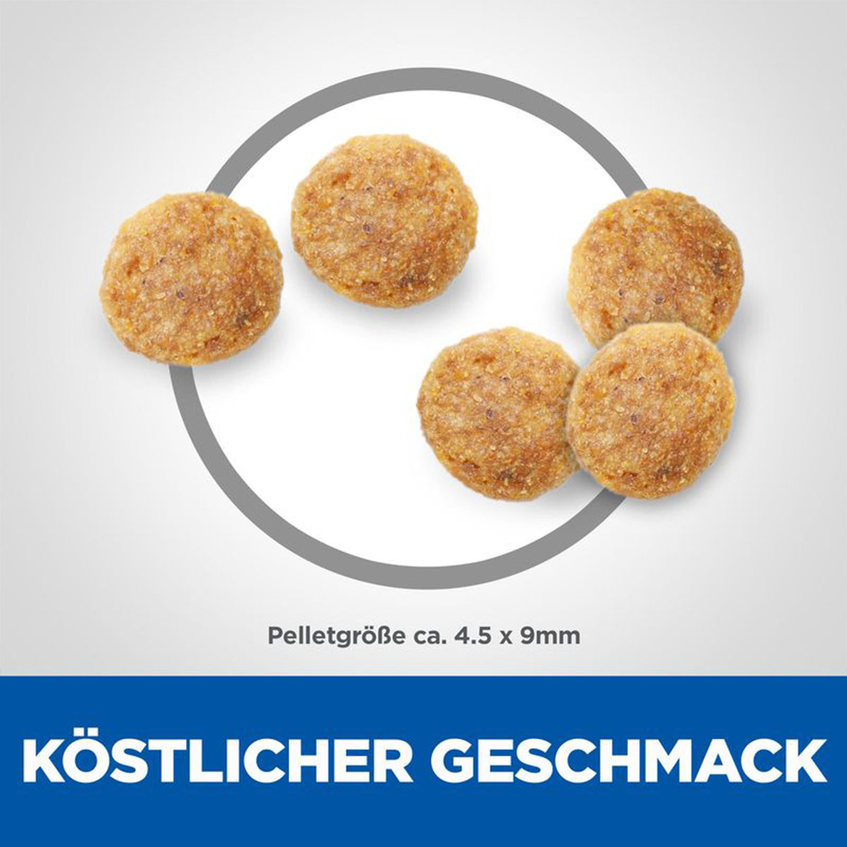 Hill's Science Plan Katze Adult Huhn 10kg kaufen