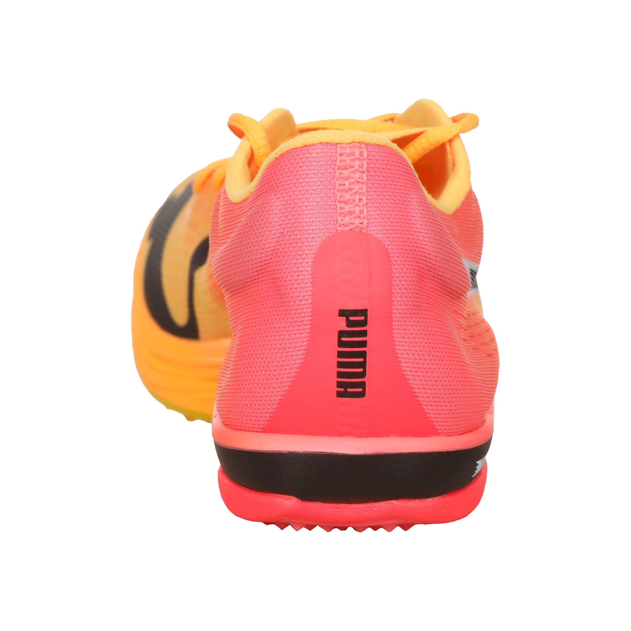 EvoSPEED Long Distance Nitro Elite+ Spikeschuh Herren - Orange, Pink