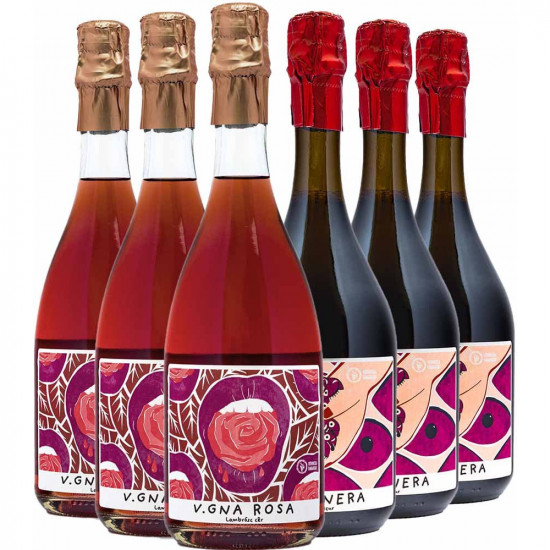 Fangareggi Kennenlern-Paket - Soc. Agr. Vitivinicola Fangareggi