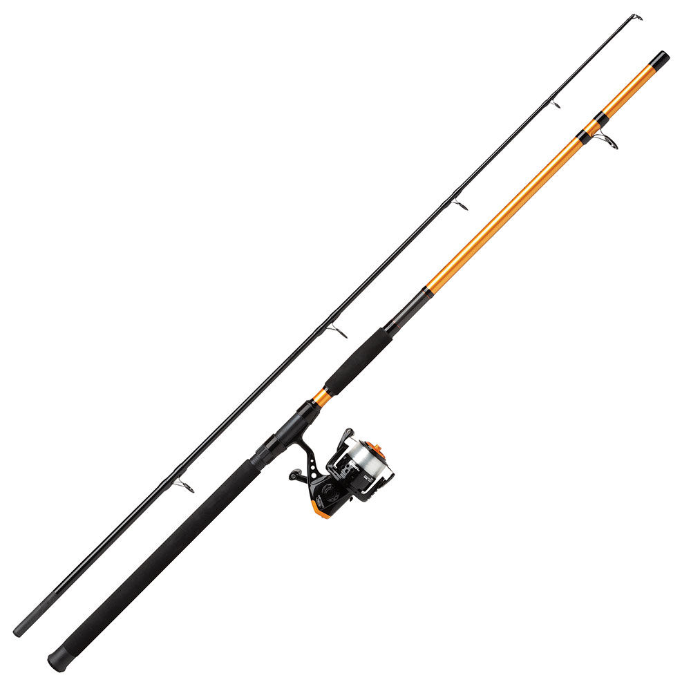 Zestaw Mitchell Catch Pro Catfish 2m70 100-300g