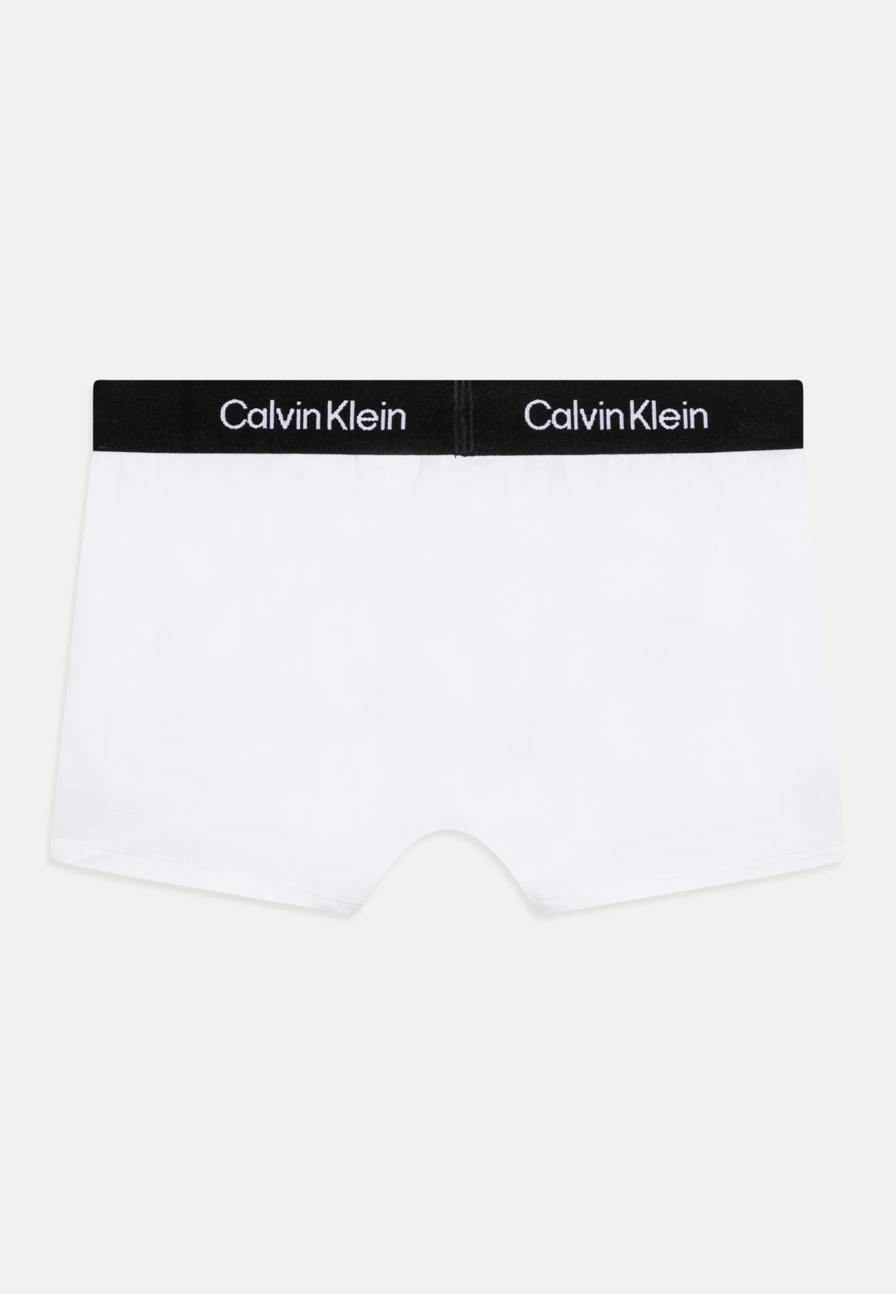 Calvin Klein Underwear TRUNK PACK DE 2 - Culotte
