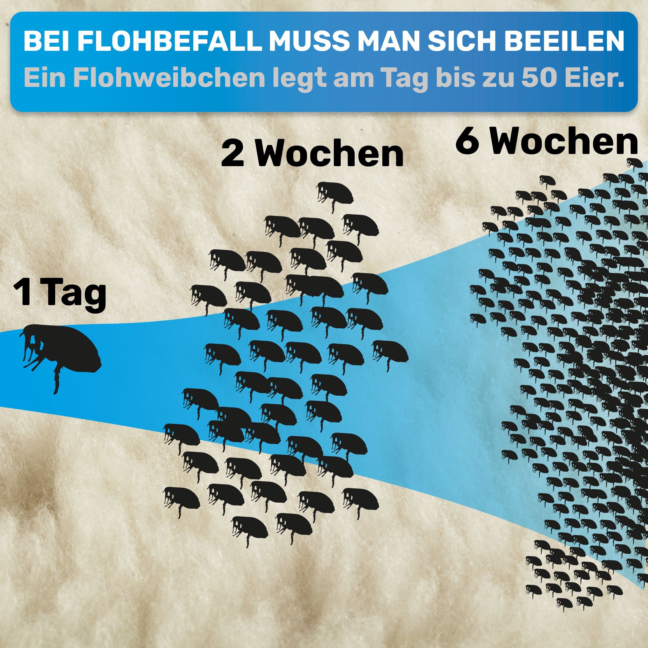 BluePet Flohkamm 