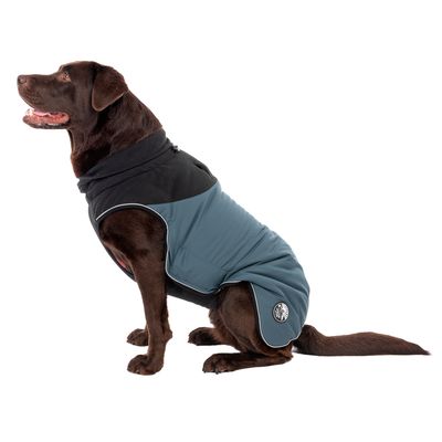 TIAKI Hundemantel Warmup Pro Sky