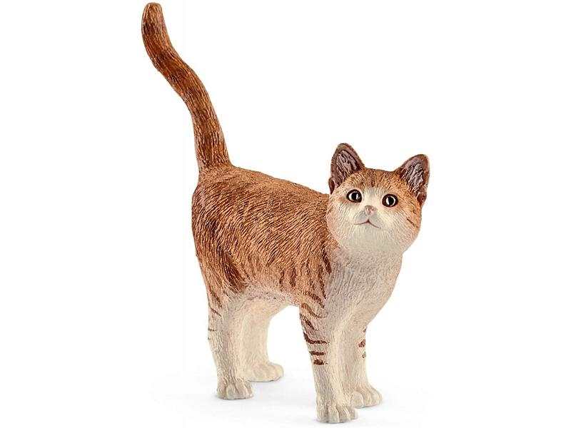 Chat