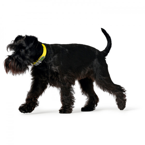 Hunter - Collar Convenience - Hundehalsband