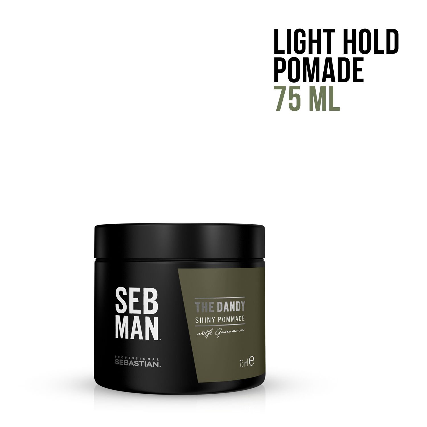 Sebastian The Dandy Sebman Pommade Tenue Légère 75 ml