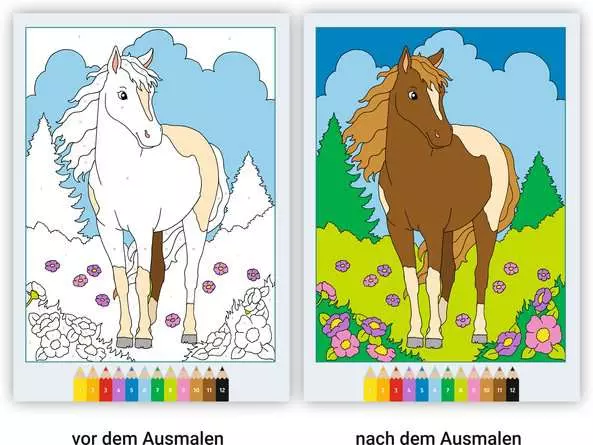 CreArt Malen nach Zahlen ab 5: Pferde