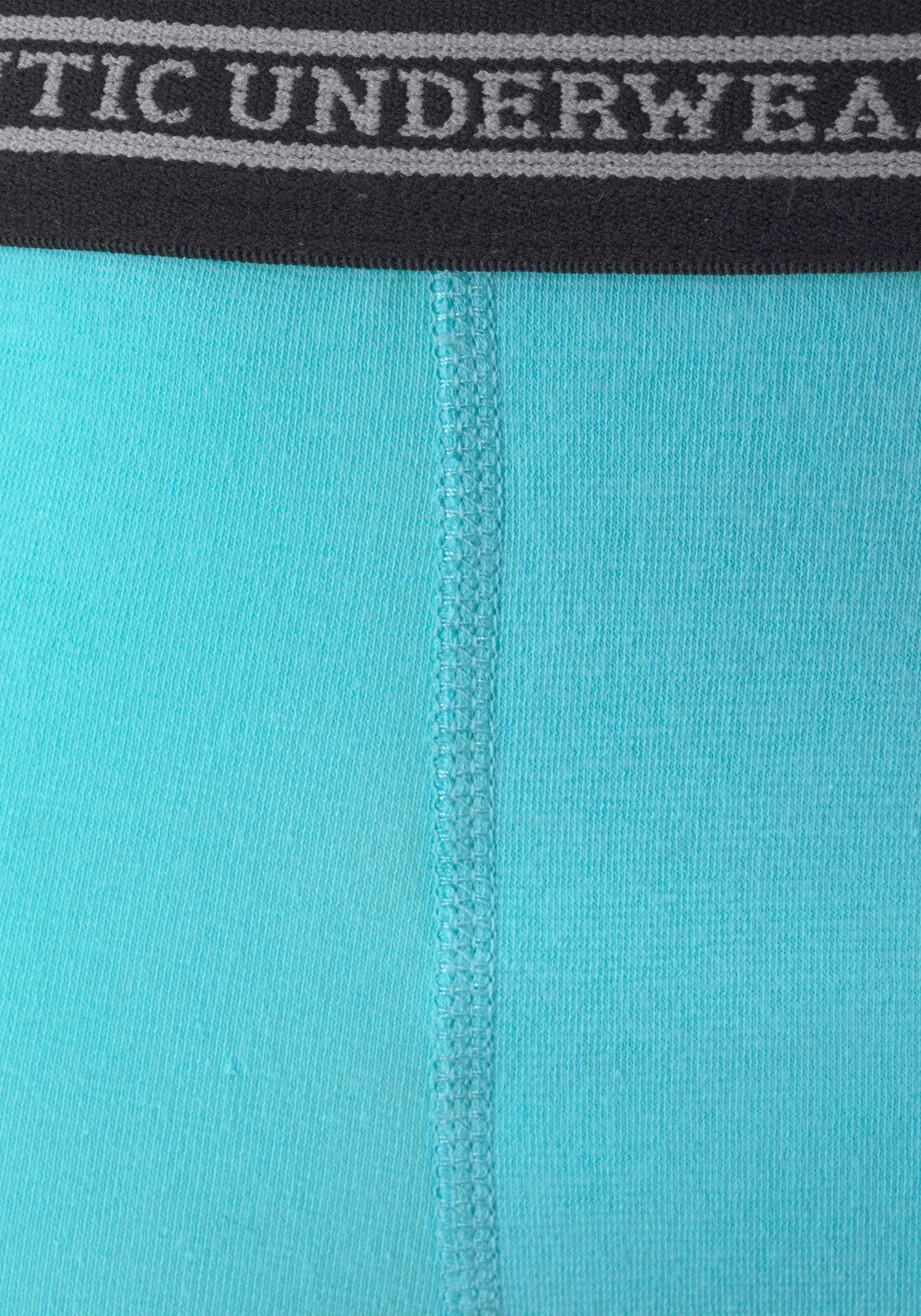 AUTHENTIC UNDERWEAR Boxer (Packung, 4-St) in klassischer Passform mit Webbund