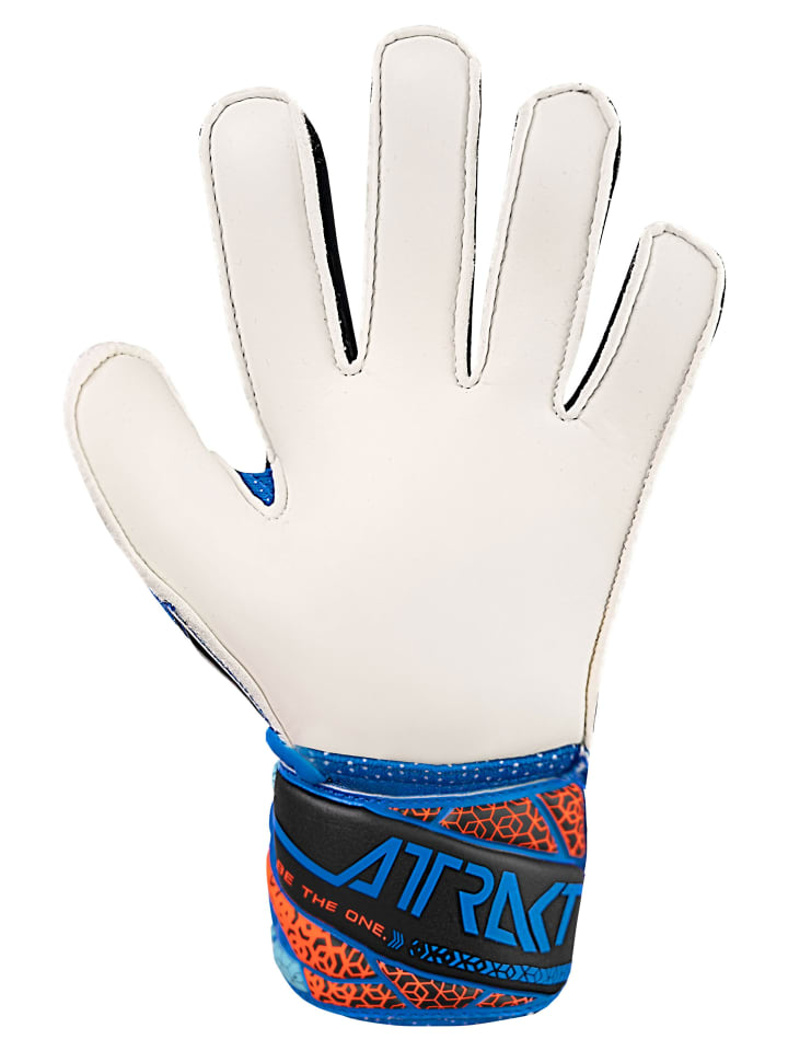 Reusch Torwarthandschuhe Attrakt Solid Junior in 4467 electric blu/shock. orang günstig kaufen