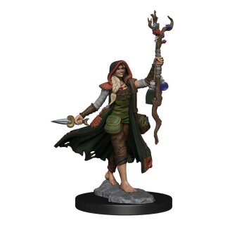 D&D Frameworks: Human Druid Female
