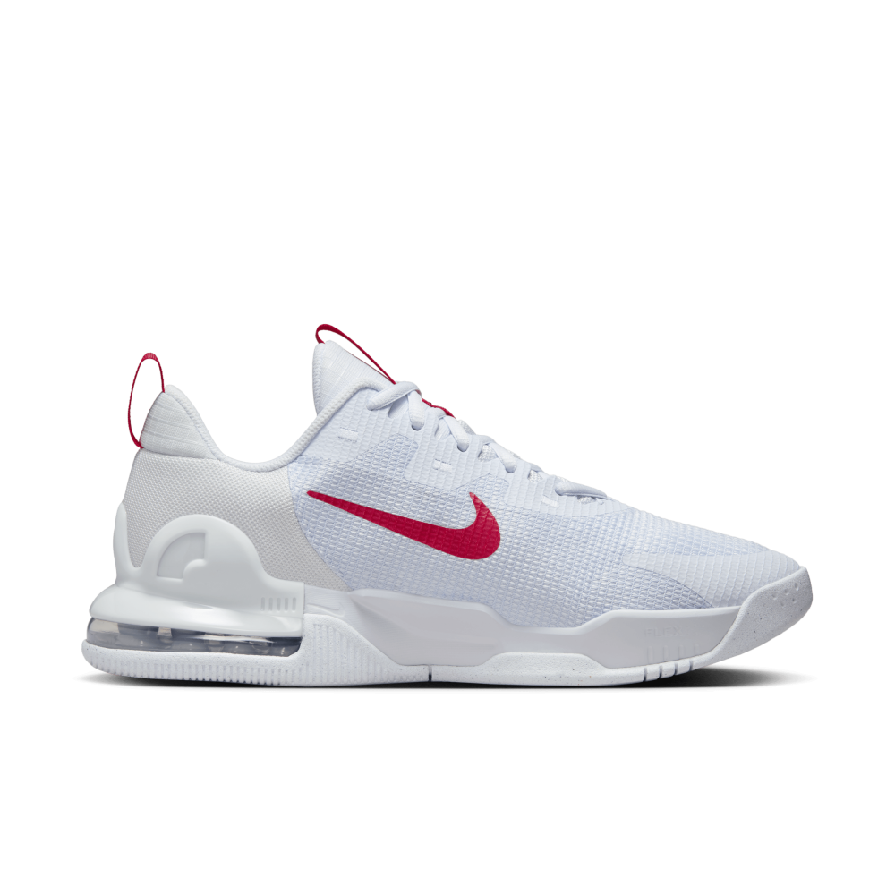 Nike Air Max Alpha Trainer 5 DM0829-012 / grau
