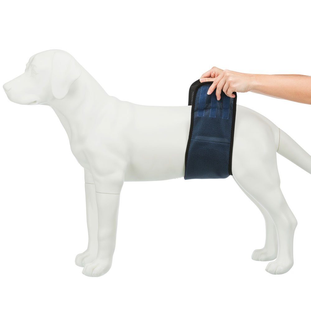 TRIXIE Hundetoilette Trixie Windeln für Rüden, waschbar Größe / Taillenumfang: S / 29-37 cm