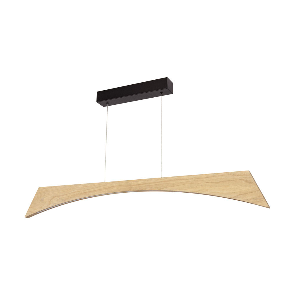 Spot LightLED-Pendelleuchte 1flg