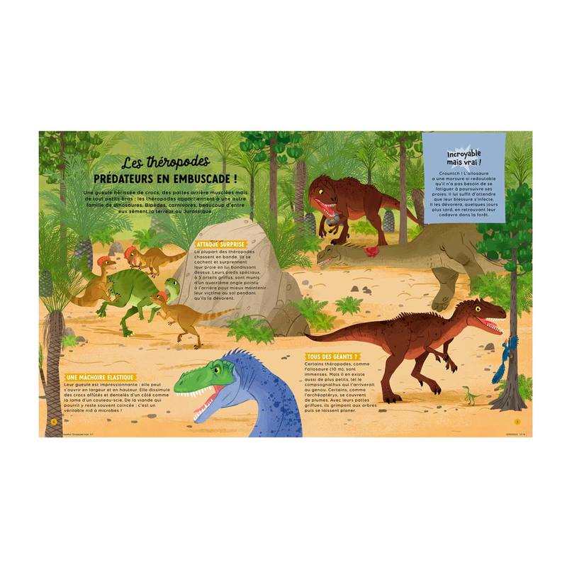 Livre Les dinosaures - Fleurus