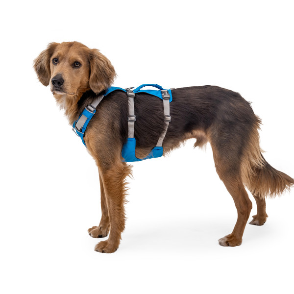 FLAGLINE HARNESS - Hundezubehör