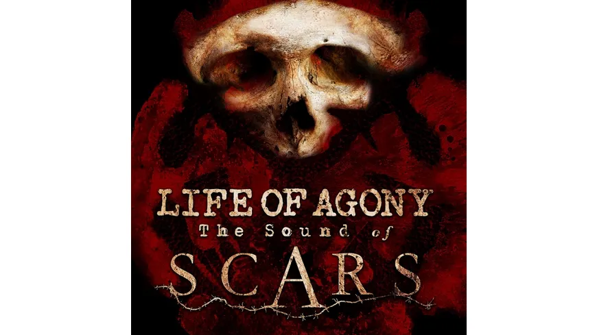 The Sound Of Scars