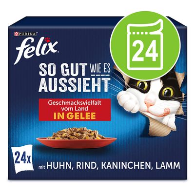 Felix 