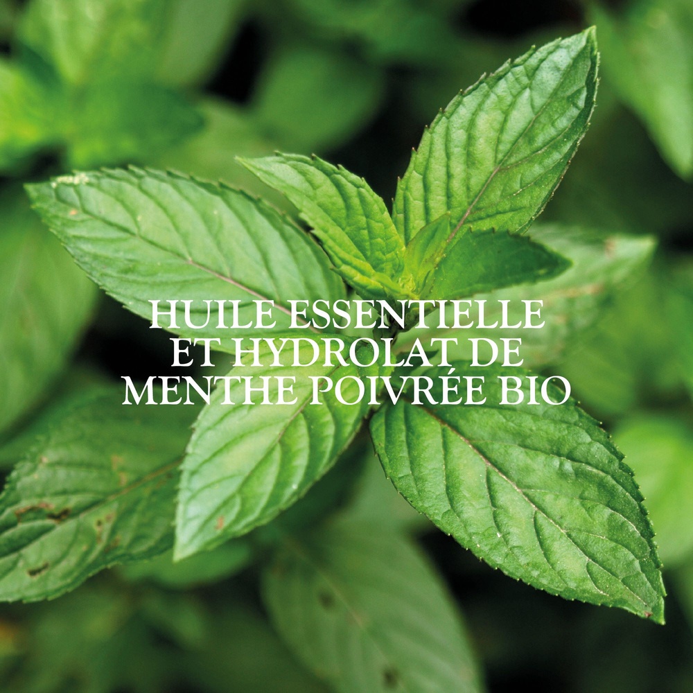Sanoflore Masque magnifica Masque purifiant