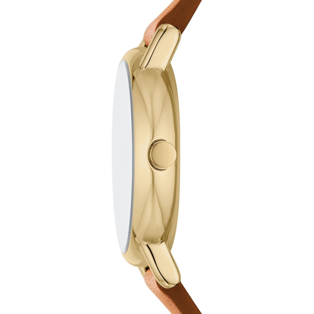 Skagen Montre pour femme Acier inoxydable Montre