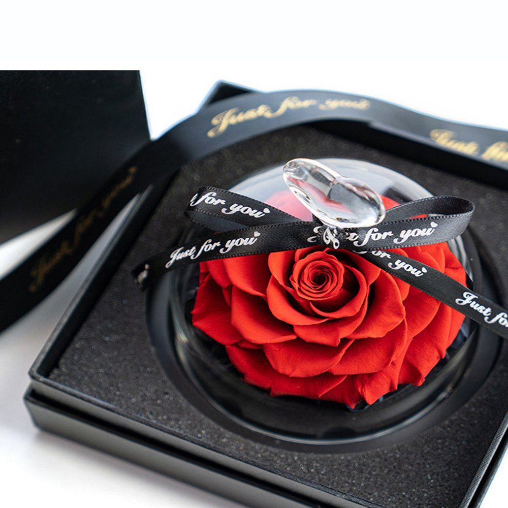 Kunstblume Blume Konservierte Rose Ewige Rose LED Lichterkette Hochzeit, AKKEE, Höhe 13 cm, Geschenke für Valentinstag, Muttertag, Jubiläum, Weihnachtstag