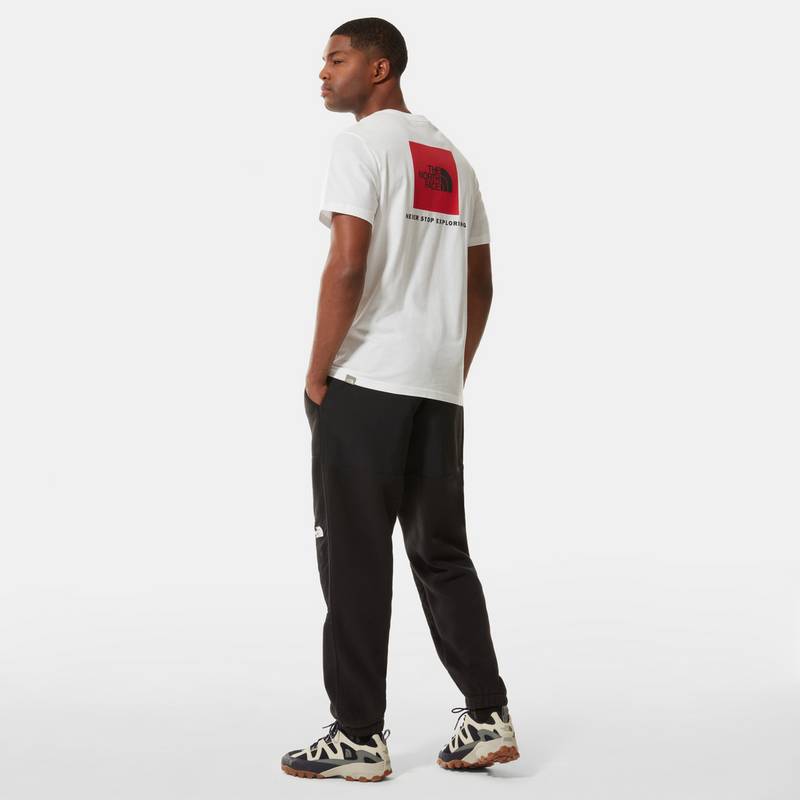 The North Face Redbox T-Shirt Herren