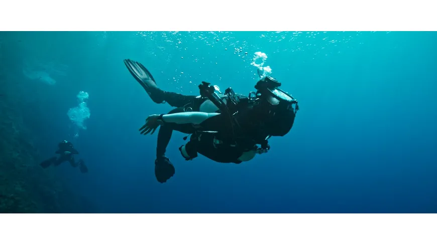 The Dive