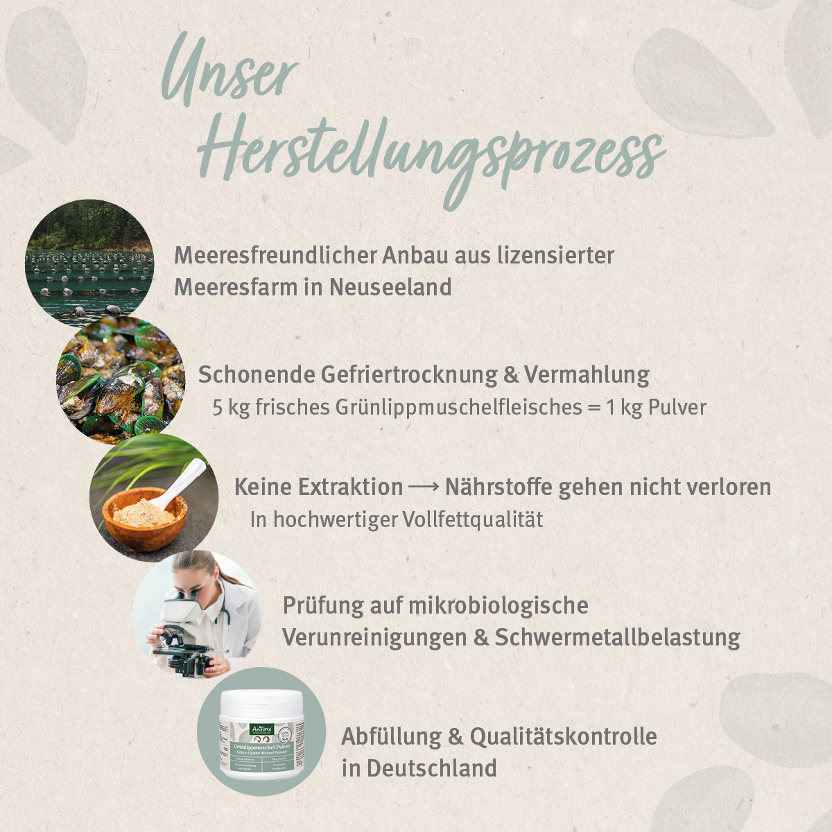 Aniforte Ergänzungsfutter & Aufzucht Aniforte Grünlippmuschelpulver Vollfettqualität 100 g