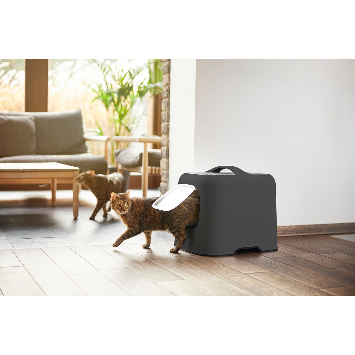 Rotho MyPet Katzentoilette BIALA anthrazit kaufen