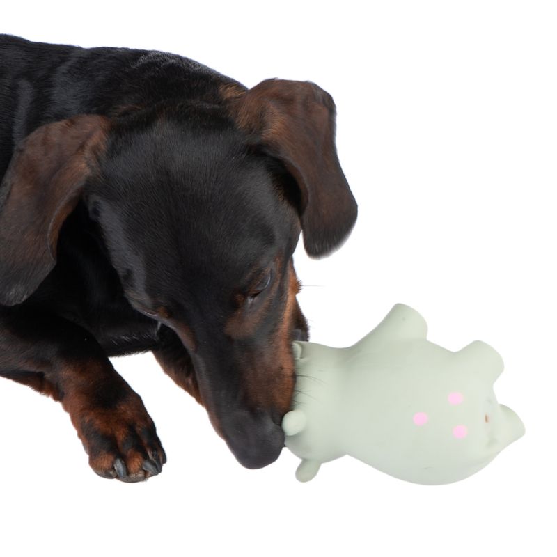 Hundespielzeug Latex Ralf zu TOP-Preisen
