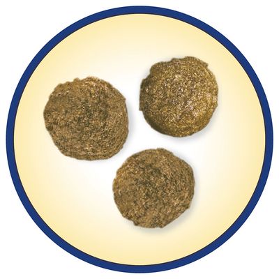 PURINA Dog Chow Complet/Classic mit Huhn