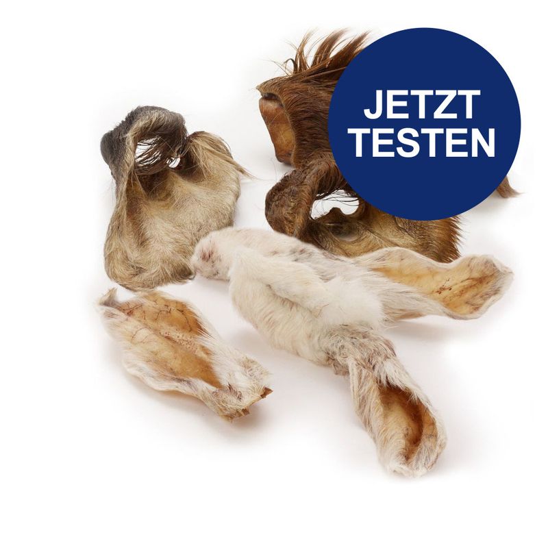 Probierpaket Wolf of Wilderness Kauohren mit Fell - von Rind & Kaninchen