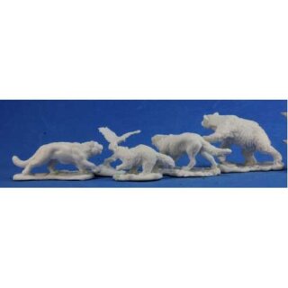Companion Animals (5)