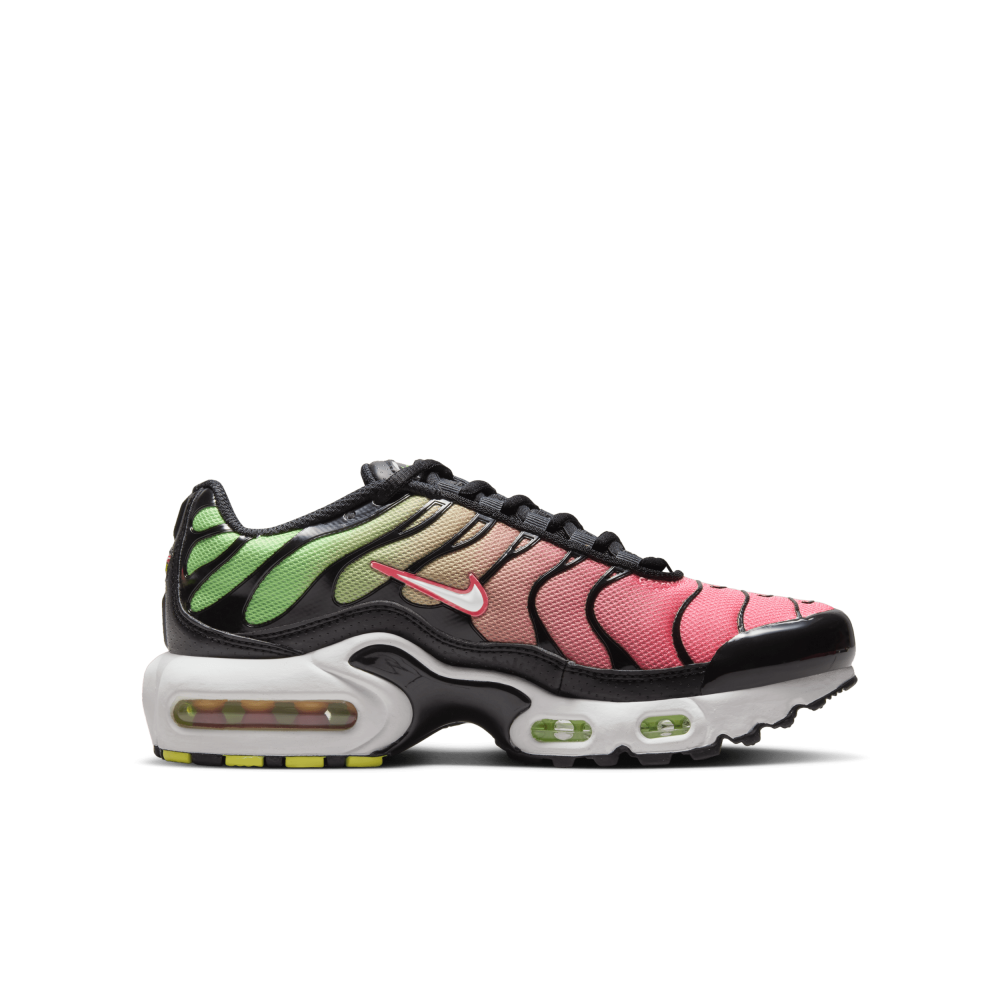 Nike Air Max Plus CD0609-010 / bunt