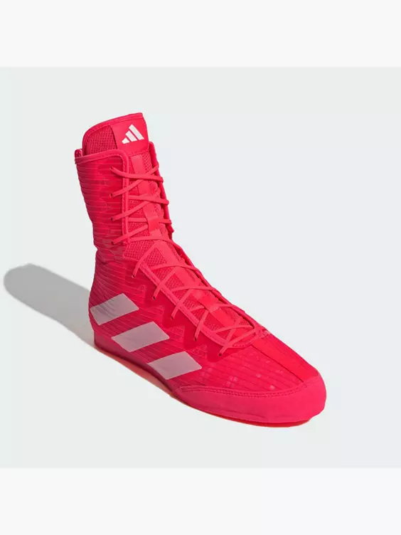adidas Box Hog 4 Boxschuh