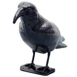 Gardigo Vogelabwehr Krähe