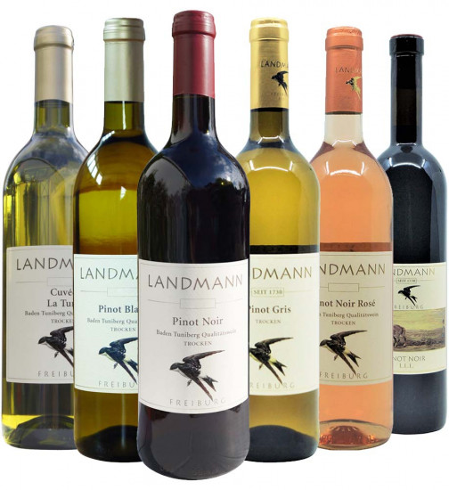 Weingut Landmann Kennenlernpaket - Weingut Landmann