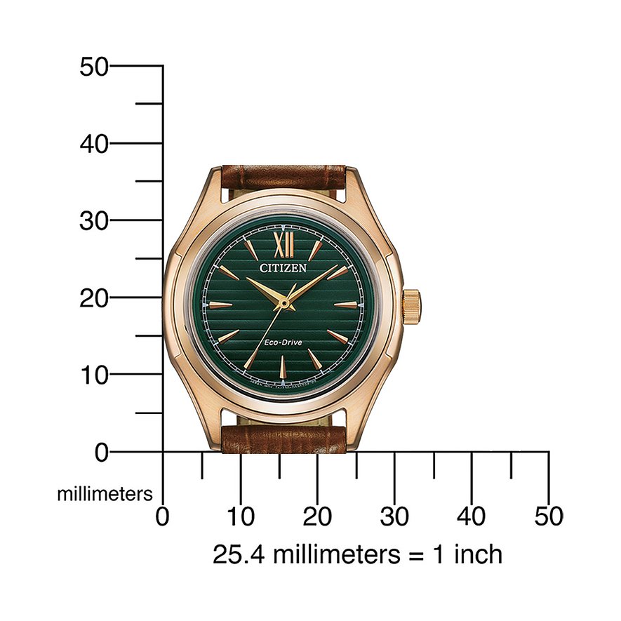 Citizen Damenuhr Leder Eco Drive