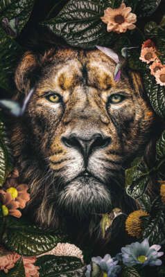 Trendhopper Bild Lion 70 x 118 cm