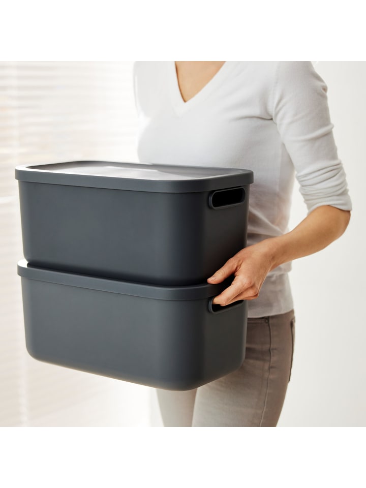 Rotho Albula Light Kiste 12l mit Deckel in Anthrazit günstig kaufen onesize