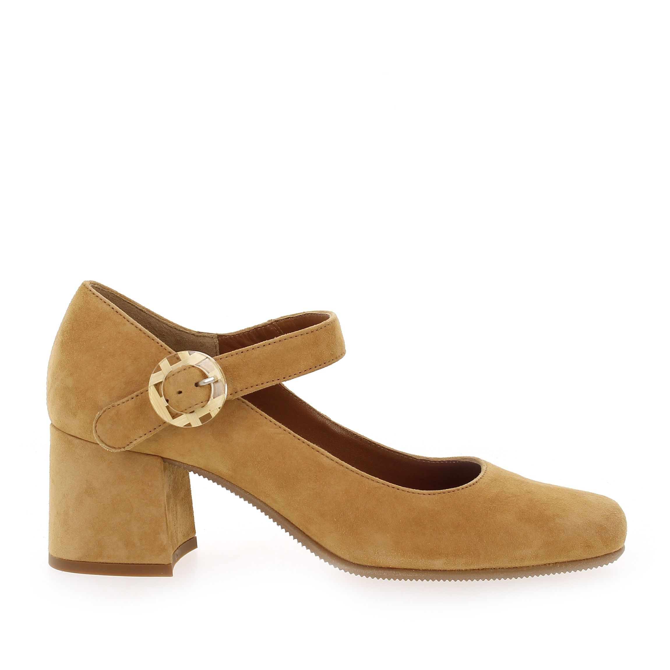 Reqins  GRETAGNE  - Camel