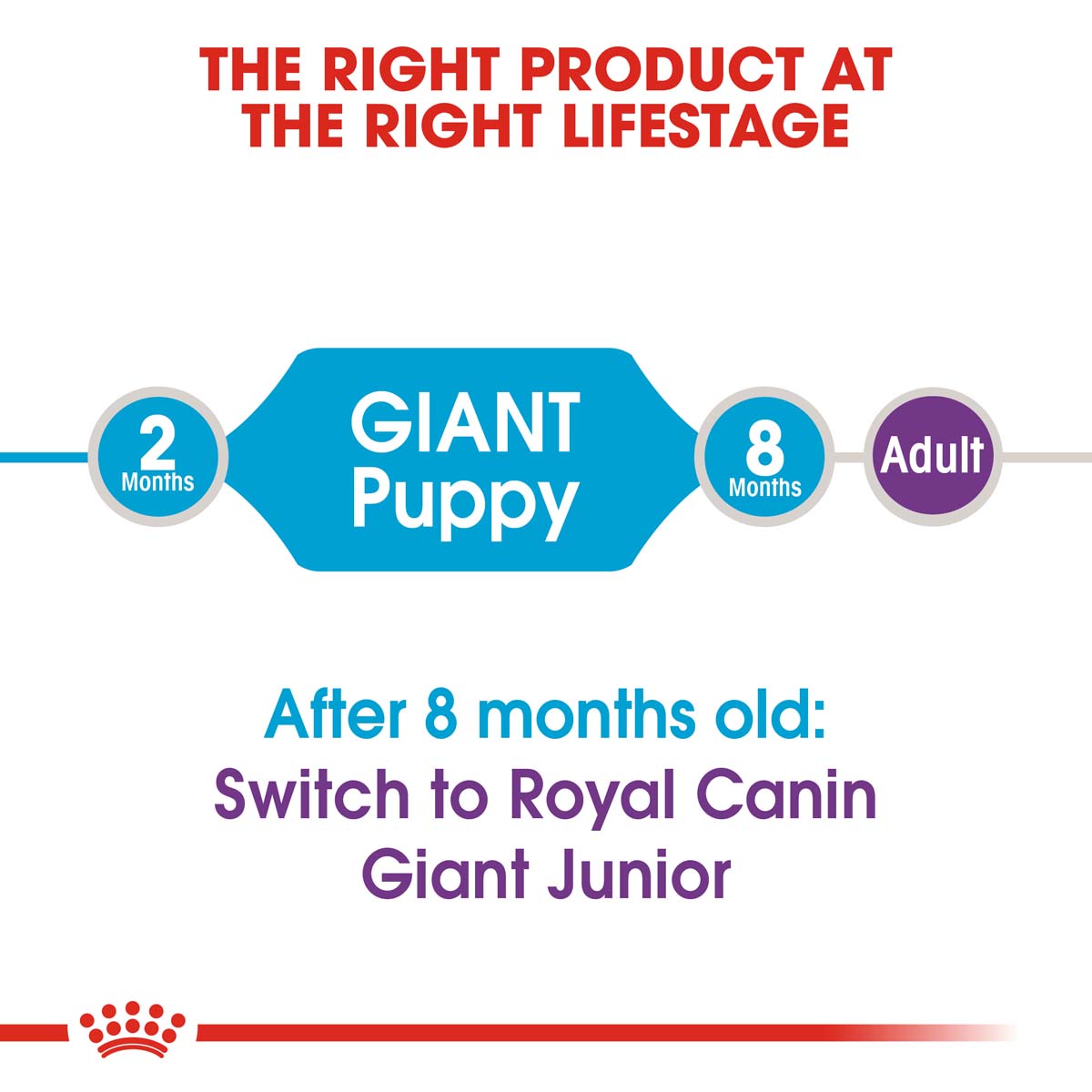 ROYAL CANIN Giant Puppy 3,5kg + Maxi Puppy in Soße 10x140g