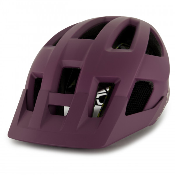 Smith - Session MIPS - Radhelm