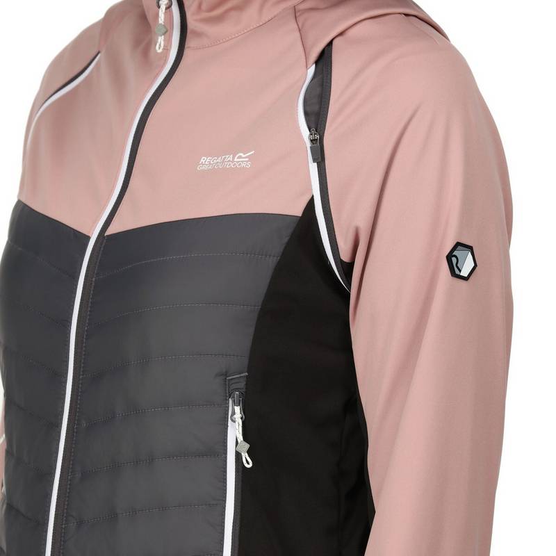 Regatta Steren Outdoorjacke Damen