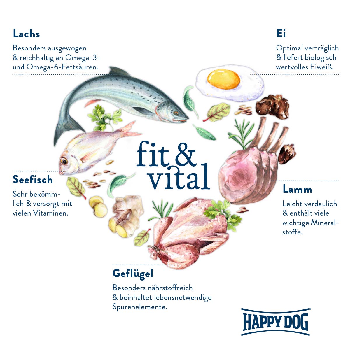 Happy Dog Supreme fit & vital Puppy günstig kaufen bei ZooRoyal