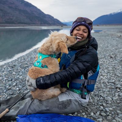Ruffwear Front Range Hundegeschirr, Aurora Teal