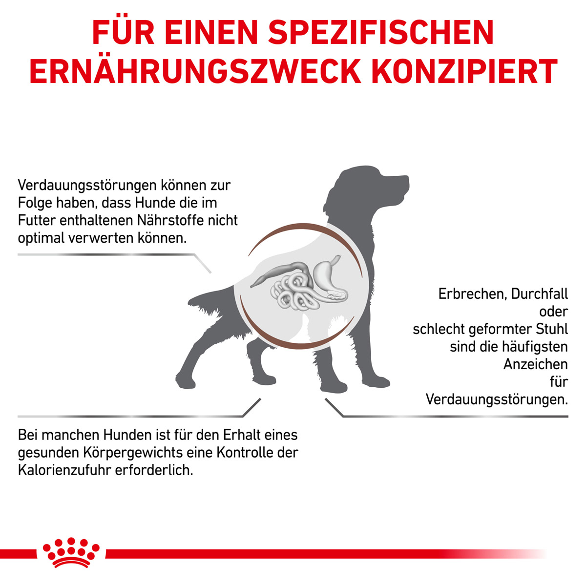 ROYAL CANIN Veterinary GASTROINTESTINAL MODERATE CALORIE Trockenfutter für Hunde